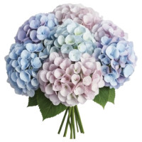 Букет под ленту — лучшие букеты по вашему вкусу