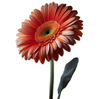 Эустома — лучшие букеты по вашему вкусу